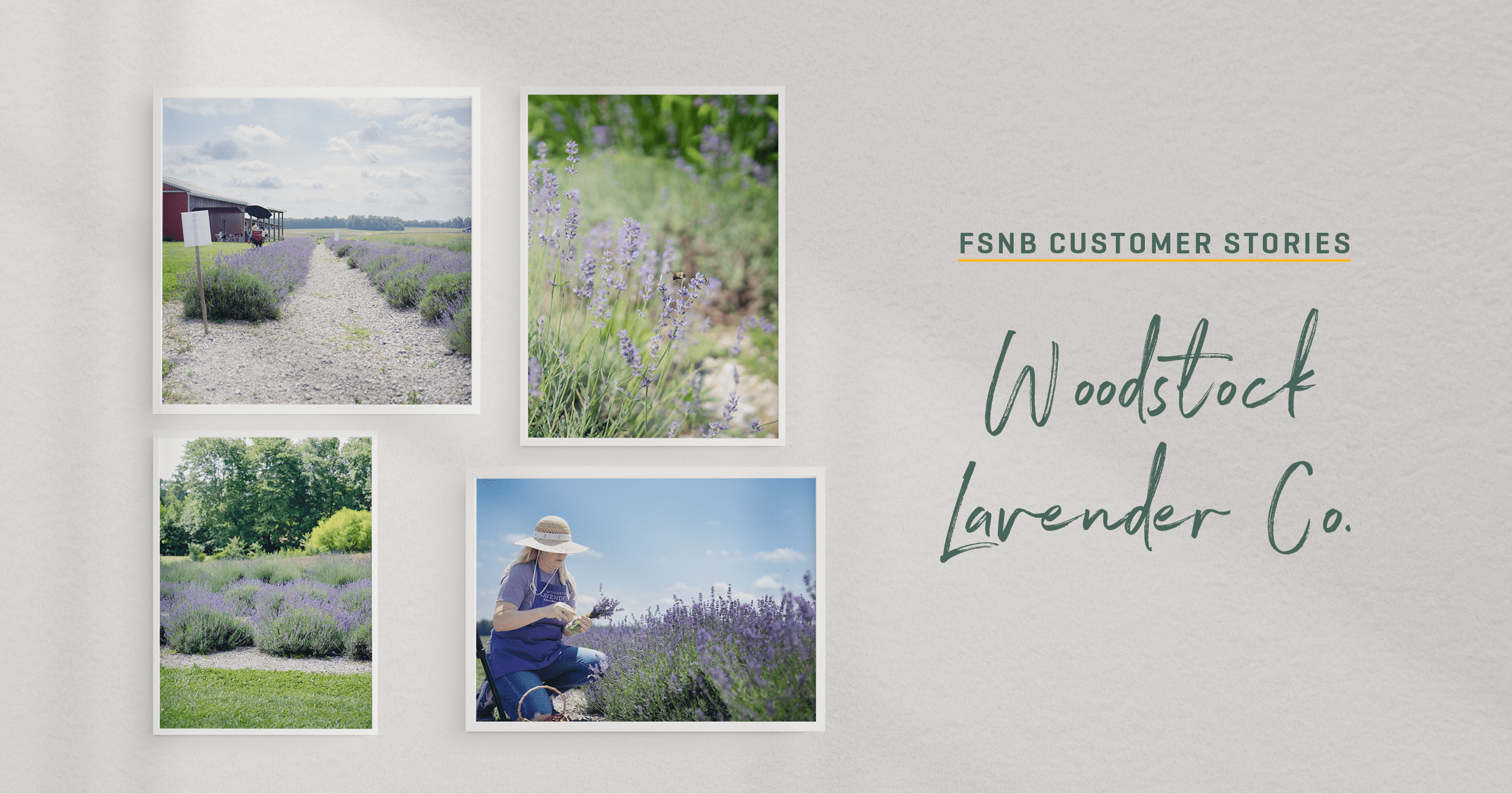 Customer Story Woodstock Lavender