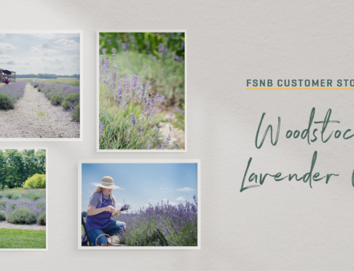 First Southern Stories: Woodstock Lavender Co.